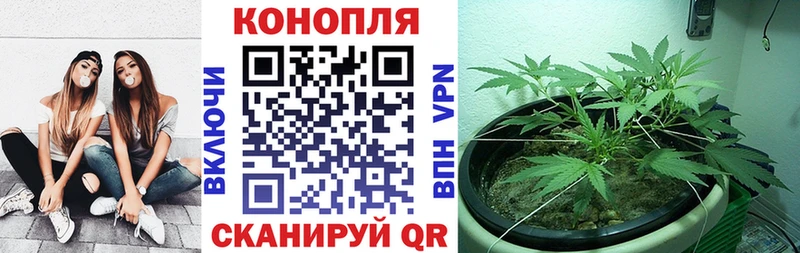 Шишки марихуана Ganja  Калуга 